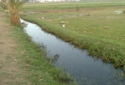 في عهد الانقلاب: أهالى مدينة سنورس يشربون من مياة الترع بعد انقطاع مياه الشرب