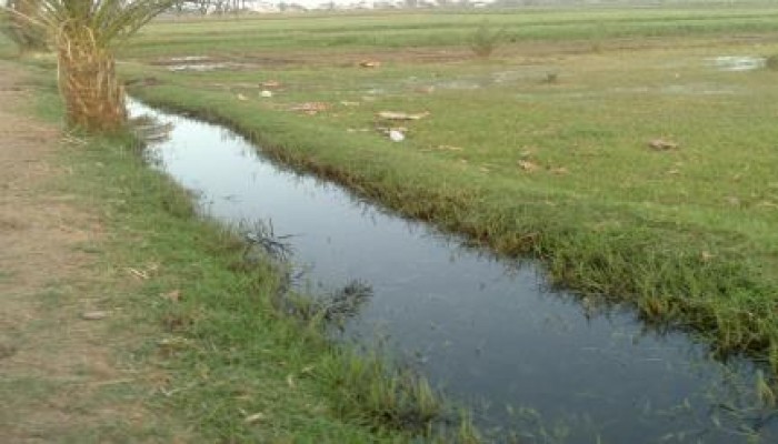 في عهد الانقلاب: أهالى مدينة سنورس يشربون من مياة الترع بعد انقطاع مياه الشرب