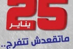 آيات عرابى: الثورة لا تنتصر بالغوغاء والهمج الذين تتغذى عقولهم على فضلات الإعلام