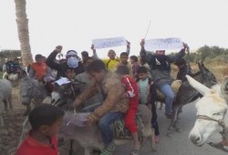 مسيرة بالحمير قبيل إنطلاق الموجة الثورية الجديدة بساعات بيوسف الصديق الفيوم