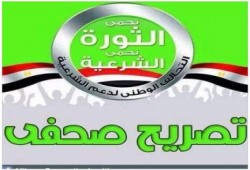 تصريح صحفي بشأن الوضع الميداني في مصر عشية ثورة 25 يناير