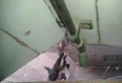 عاجل.. ارتقاء أول شهيد في موجة 25 يناير الثورية