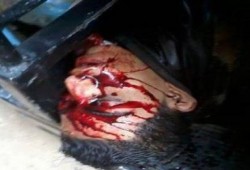 ارتقاء شهيد على أيدى قوات الأمن بالمطرية