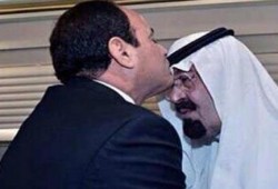 محلل صهيونى يحذر من انهيار نظام السيسي