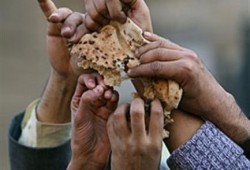 قرى المحمودية بالبحيرة بلا خبز.. وتموين الانقلاب تفشل في توفير الدقيق