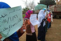 الدقهلية: وقفة مناهضة للانقلاب بـ "قرية كفر المقدام".