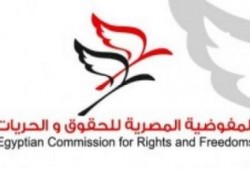 مركز حقوقي: 26 انتهاكًا للصحفيين في الذكرى الرابعة للثورة