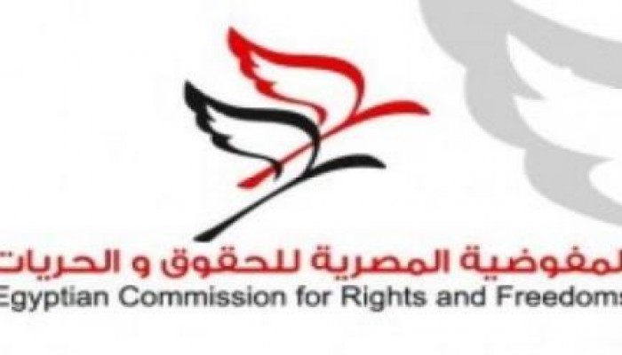 مركز حقوقي: 26 انتهاكًا للصحفيين في الذكرى الرابعة للثورة