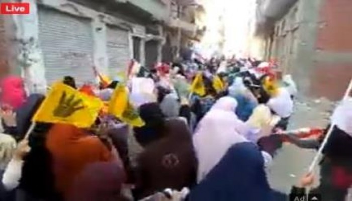 مسيرة حاشدة لثوار أبو حماد - الشرقية في جمعة "الإصرار والتحدي" .. صور