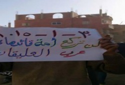 جمعة الإصرار والتحدي  : مسيرة حاشدة لأحرار قرية عرب العليقات مركز الخانكة