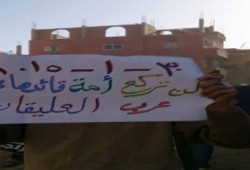جمعة الإصرار والتحدي  : مسيرة حاشدة لأحرار قرية عرب العليقات مركز الخانكة