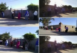 الغربية: سلسلة بشرية بمركز السنطة ضد حكم العسكر