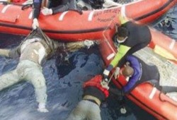 نحس الانقلاب: انتشال 3 جثث وإنقاذ 5 فى سقوط ميكروباص بترعة المريوطية