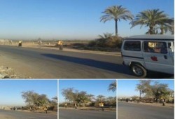 سلسلة بشرية لثوار النوبارية تندد بتعذيب معتقلي البحيرة