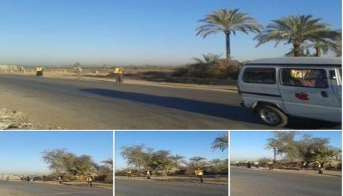 سلسلة بشرية لثوار النوبارية تندد بتعذيب معتقلي البحيرة