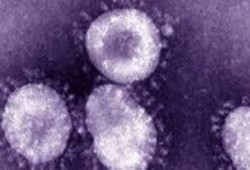 خمسة ألاف طفل مصري يصابون بفيروس"سي" سنويًا بسبب أمهاتهم