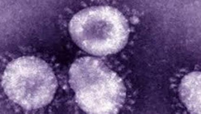 خمسة ألاف طفل مصري يصابون بفيروس"سي" سنويًا بسبب أمهاتهم