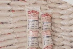 أرز التموين بالجيزة غير صالح للاستخدام الآدمي