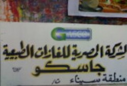 وقف ضخ الغاز عن العريش لإجبار الأهالي على النزول لتفويض قائد الانقلاب