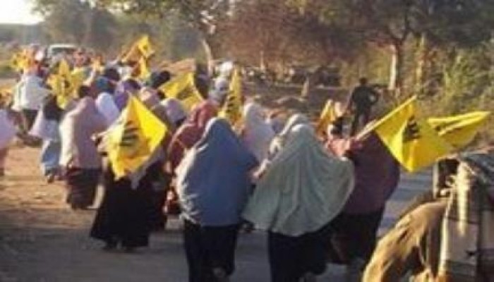 كفر الشيخ: فعالية لثوار الكفر الجديد رفضا لحكم العسكر