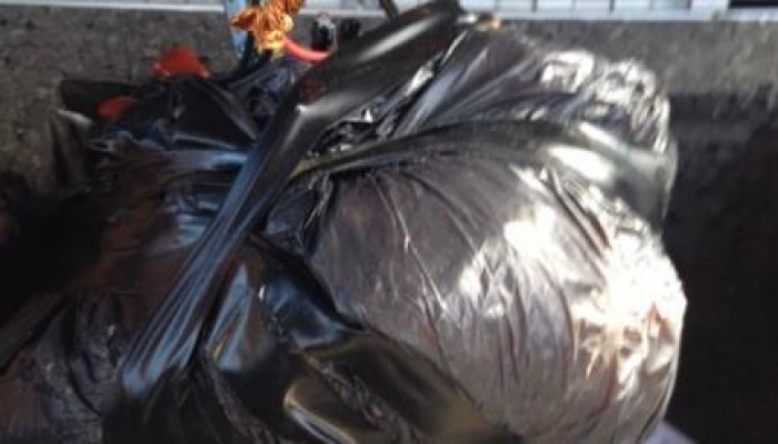 فزع بالداخلية بعد العثور على كيس بلاستيك بداخله "حذاء" بجوار سفارة الجزائر بالزمالك