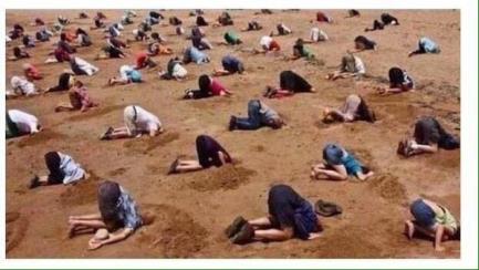 صورة وتعليق: مؤيدي السيسي بعد التسريب