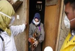 شؤم الانقلاب: إصابة 4 حالات بإنفلونزا الطيور بينهم طفلان
