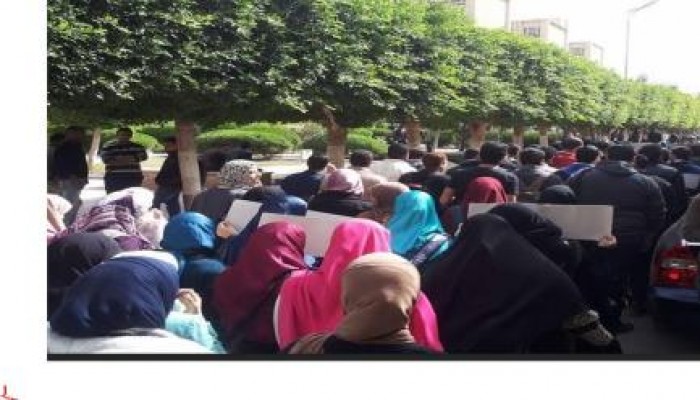 طلاب جامعه الإسكندرية ينددون بمجزرة استاد 30 يونيو