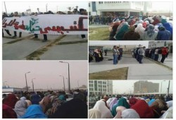 طلاب جامعة دمنهور يؤدون صلاة الغائب على أرواح شهداء "الدفاع الجوى"