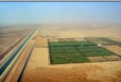 "الراجحي" تدرس الانسحاب من توشكى بعد أزمة "سد النهضة"