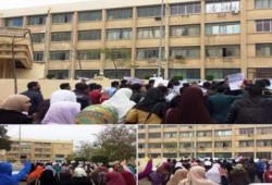 الدقهلية: فاعلية مفاجئة لطلاب جامعة ‫‏المنصورة‬