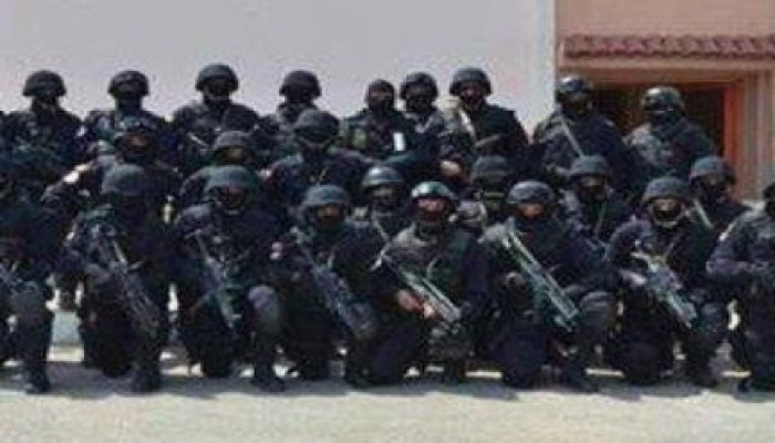 مصدر أمني: من المحتمل أن ترسل مصر عناصر قوات خاصة إلى ليبيا