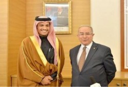 الجزائر تدين قصف السيسي لليبيا .. و تدعو إلى احترام سيادة ليبيا