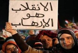 اعتقال سيدة وعدد من الشباب وترويع الآمنين بحي الجناين بالسويس