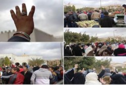 "كل كلاب الدنيا وفية .. إلا كلابك يا داخلية"هتاف ثوار التجمع الخامس بالقاهرة