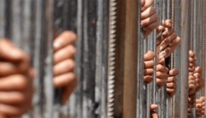 مراسل الجزيرة المفرج عنه: السجون المصرية جحيم