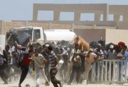 خبير اقتصادي: تشغيل العائدين من ليبيا يكلف الدولة 100 مليار جنيه