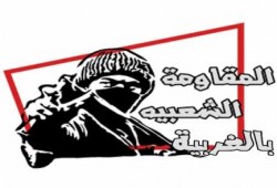 المقاومة الشعبية بالغربية تتبني"تفجير مبني أمن الدولة بزفتى و خط سكك حديد طنطا كفرالزيات"