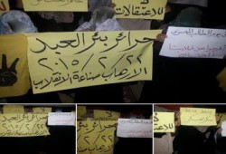 شمال سيناء: وقفة لـ حرائر بئرالعبد ضمن فعاليات "الإرهاب صناعة الإنقلاب"