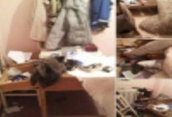 الفيوم.. حملة مداهمات بالشواشنة.. ومليشيات الانقلاب تسرق المنازل