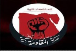 حركة المقاومة الشعبية تتبني تدمير 17 برج لشركتي اتصالات وموبينيل بالفيوم