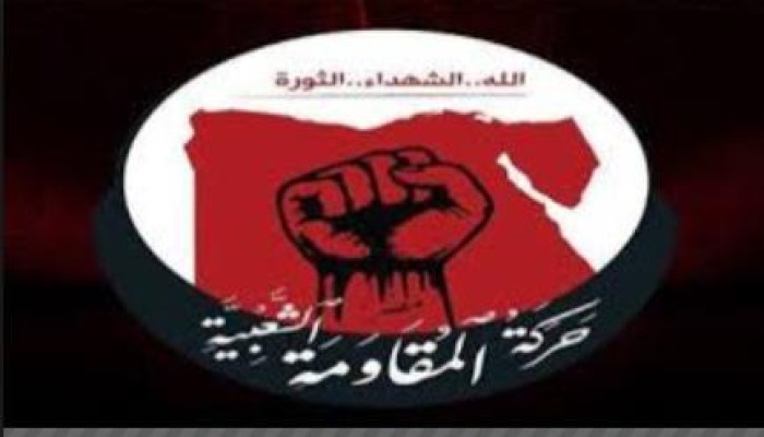 حركة المقاومة الشعبية تتبني تدمير 17 برج لشركتي اتصالات وموبينيل بالفيوم