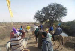 المنيا.. مسيرة بالحمير تسخر من قائد الانقلاب وترفض حكم العسكر