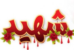 بالفيديو والدة الشهيد "كريم محمد حمدي" تحكى تفاصيل اعتقاله