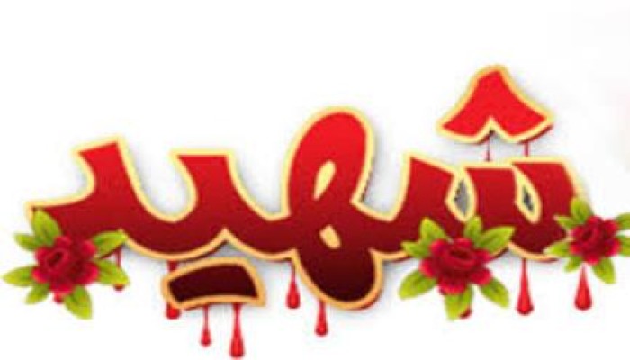 بالفيديو والدة الشهيد "كريم محمد حمدي" تحكى تفاصيل اعتقاله