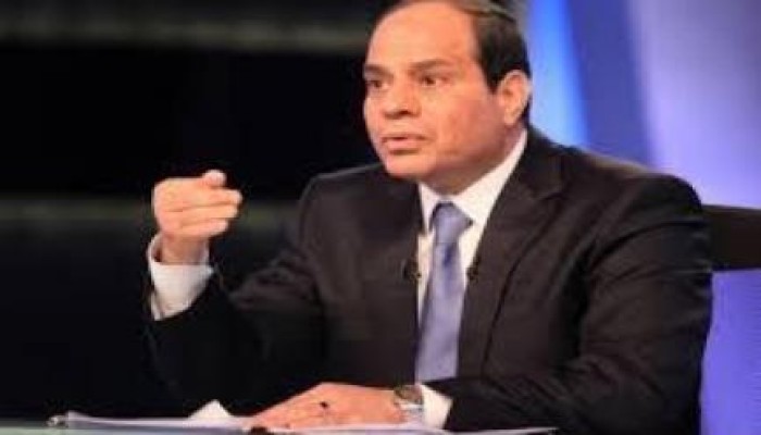 ديموكراسي: نظام السيسي فاقد للشرعية وحوَّل المواطنين لمخبرين