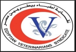 نيابة الاموال العامة ترفض فرض الحراسة على البيطريين وتبرئ النقيب