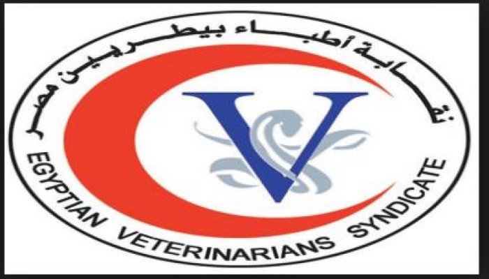 نيابة الاموال العامة ترفض فرض الحراسة على البيطريين وتبرئ النقيب