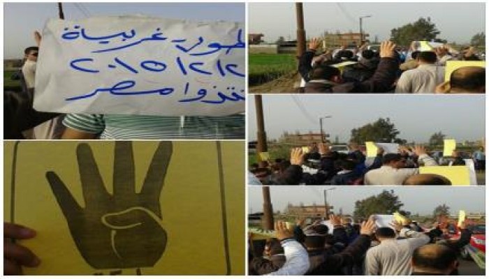 الغربية: فعالية مناهضة للانقلاب بقطور في بداية أسبوع "أنقذوا مصر"