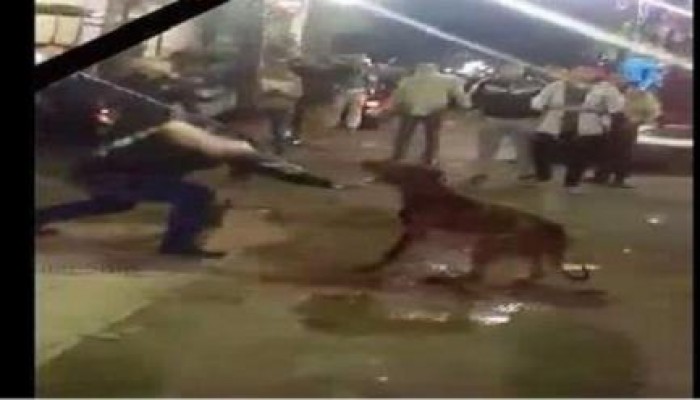 فى عهد الانقلاب: إحالة قتلة" كلب الهرم" لمحاكمة عاجلة